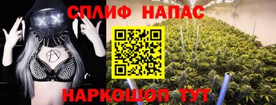 сатива Краснодар