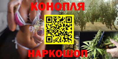 сатива Краснодар
